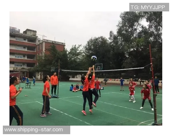 成都排球队的运营揭秘：深度解析排球背后的故事与策略