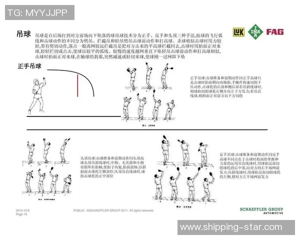 羽毛球深度解析：探秘杭州羽毛球队的进攻战术与技巧